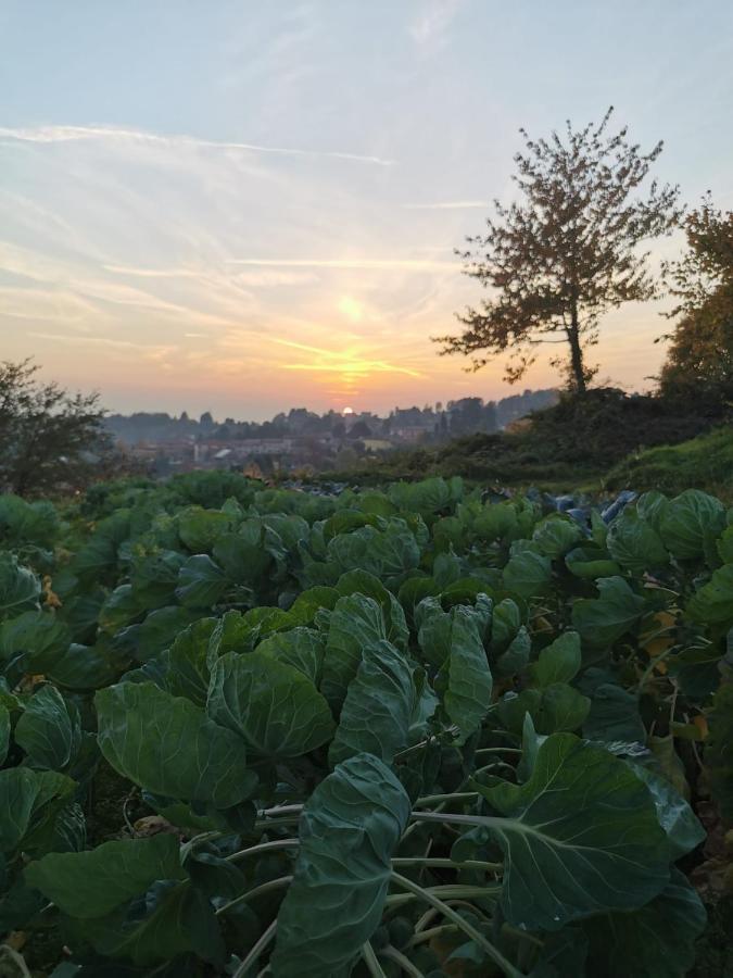 Agriturismo Teresa Delle Fragole Vigano Dış mekan fotoğraf