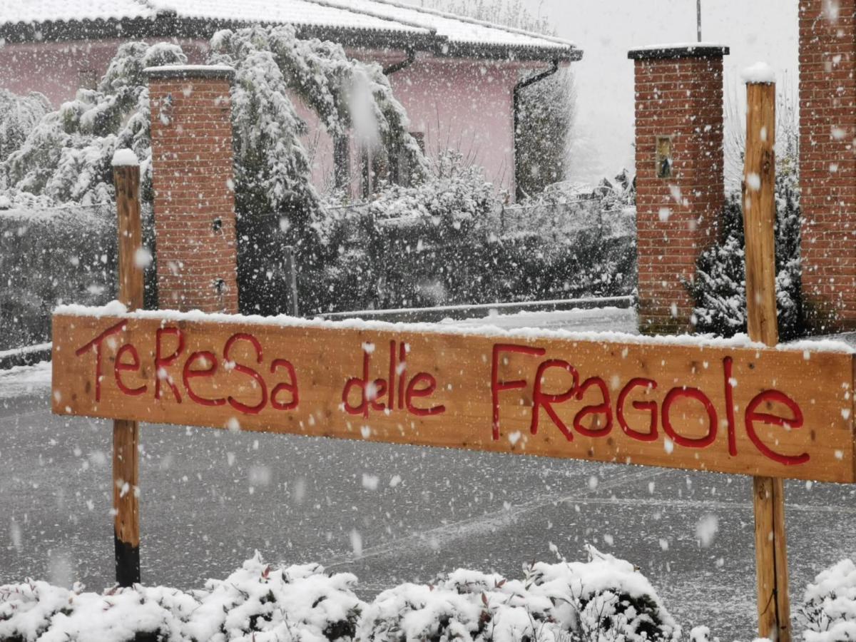 Agriturismo Teresa Delle Fragole Vigano Dış mekan fotoğraf